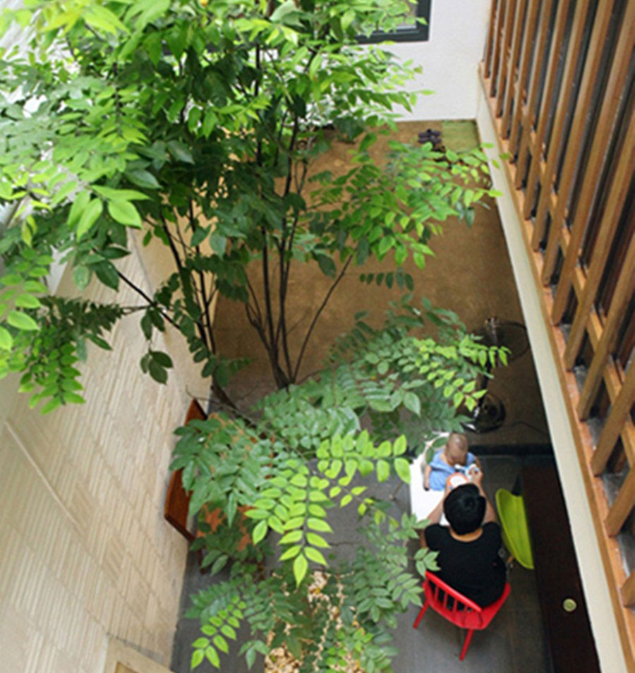 Bạn có thể trồng cây xanh trong nhà nhờ giếng trời